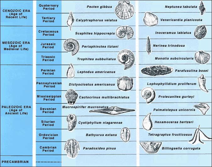 Fossilsindex.gif