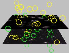 Gravitons2.jpg