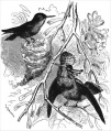 Thumbnail for version as of 16:16, 19 April 2006