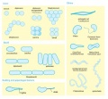 Thumbnail for version as of 00:38, 15 June 2006