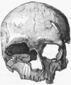 Thumbnail for version as of 00:05, 9 April 2006