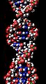 DNA.png