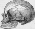 Thumbnail for version as of 00:07, 9 April 2006