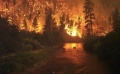 800px-Deerfire.jpg
