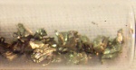 Sample scandium.jpg
