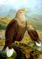 Thumbnail for version as of 01:59, 22 February 2006