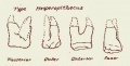 Thumbnail for version as of 03:16, 17 March 2006