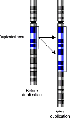 Thumbnail for version as of 01:56, 12 February 2006