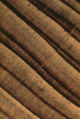 Thumbnail for version as of 19:59, 26 March 2006