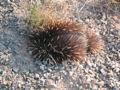 Thumbnail for version as of 22:25, 15 February 2006
