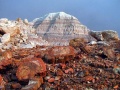Bentonite Clay Hills, Petrified Wood