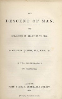 Descent of Man .jpg