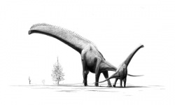 Giraffatitan.jpg