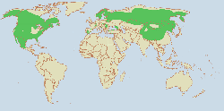 Lynx range.png