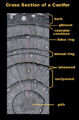 Thumbnail for version as of 20:00, 26 March 2006
