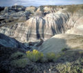 Colorado plateau