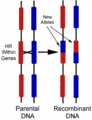 Thumbnail for version as of 04:04, 8 January 2006