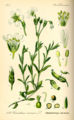Thumbnail for version as of 04:24, 30 March 2006