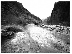 Fig4 cont.jpg