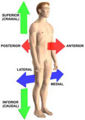 Thumbnail for version as of 21:59, 20 February 2006